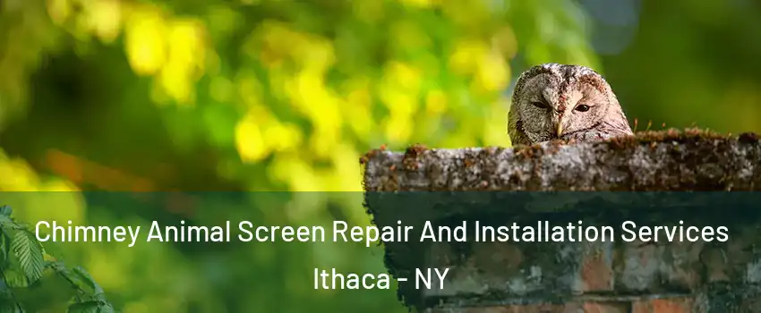  Chimney Animal Screen Repair And Installation Services Ithaca - NY