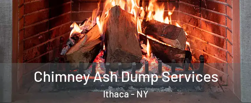  Chimney Ash Dump Services Ithaca - NY