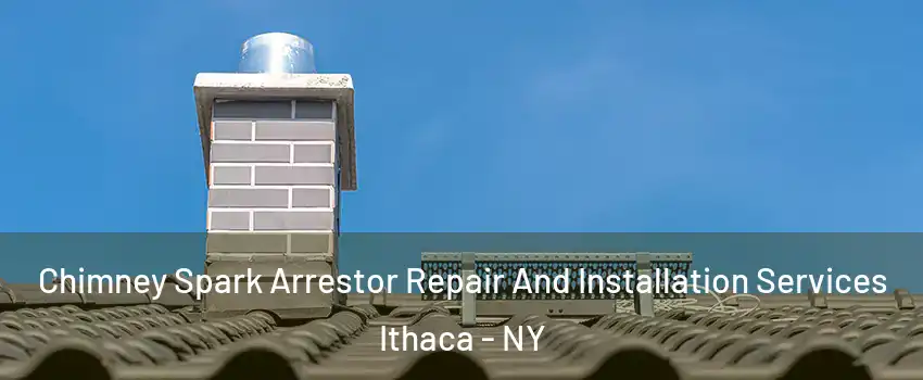  Chimney Spark Arrestor Repair And Installation Services Ithaca - NY