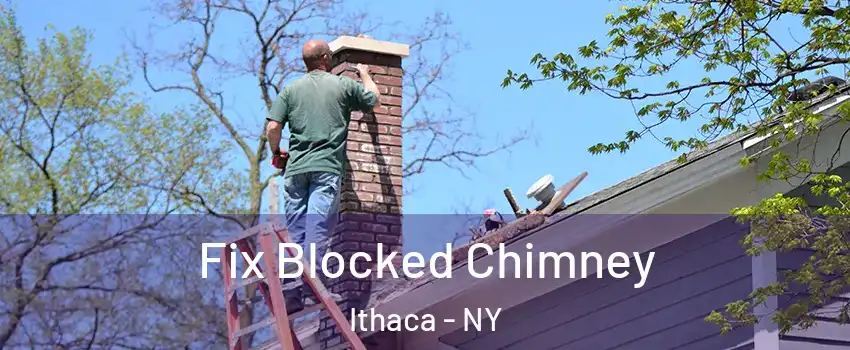  Fix Blocked Chimney Ithaca - NY