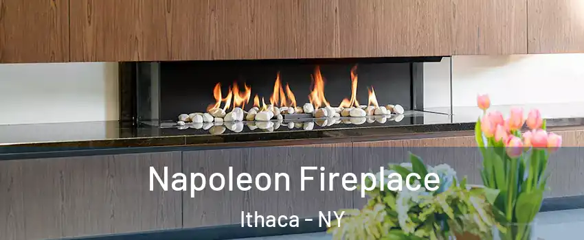  Napoleon Fireplace Ithaca - NY