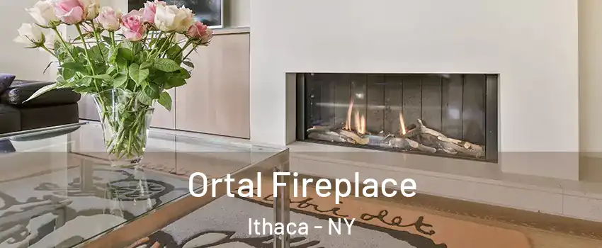 Ortal Fireplace Ithaca - NY