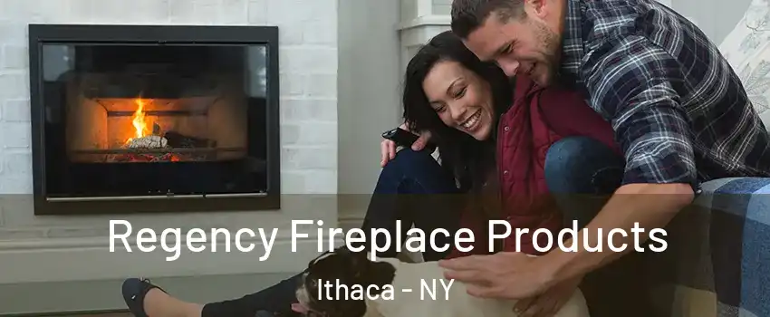  Regency Fireplace Products Ithaca - NY